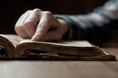 family-research-01-1